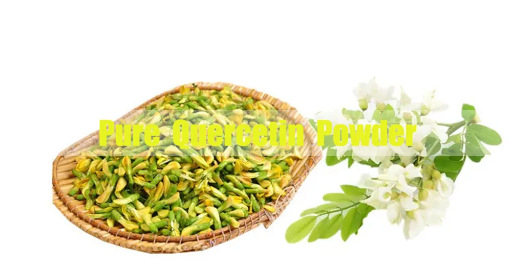 Pure Quercetin Powder.png